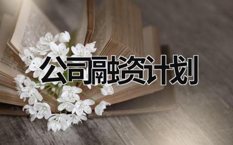 公司融资计划 公司融资计划书怎么写 (16篇）