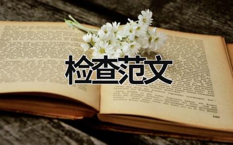 检查范文 禁烧检查范文 (18篇）