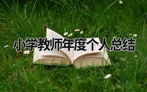 小学教师年度个人总结 小学教师年度个人总结250字 (17篇）