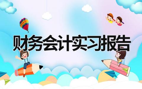 财务会计实习报告 财务会计报告实训总结 (20篇）