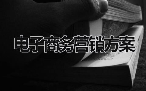 电子商务营销方案 电子商务营销方案PPT (17篇）