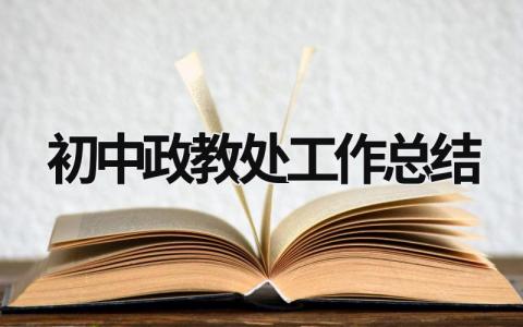 初中政教处工作总结 初中政教处工作总结2023 (17篇）