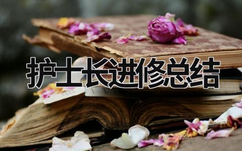 护士长进修总结 护士长进修总结简短 (15篇）