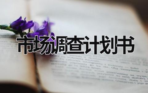 市场调查计划书 大学生手机市场调查计划书 (15篇）