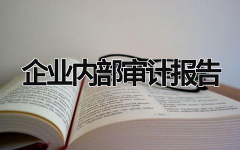 企业内部审计报告 企业内部审计报告的封面图片大全 (12篇）