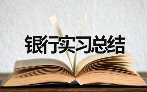 银行实习总结 银行大堂经理实习报告 (21篇）