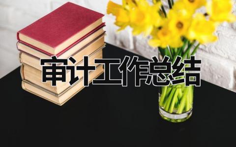 审计工作总结 配合审计工作总结 (17篇）