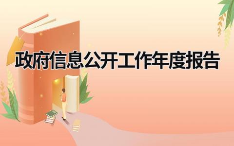 政府信息公开工作年度报告 政府信息公开工作年度报告时间 (20篇）