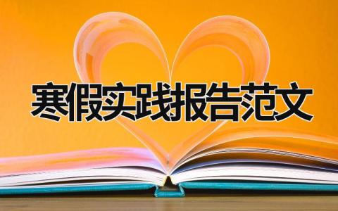 寒假实践报告范文 寒假实践报告模板 (15篇）