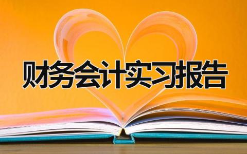 财务会计实习报告 财务会计报告实训总结 (17篇）