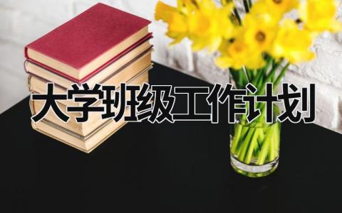 大学班级工作计划 大学班级工作计划模板 (15篇）