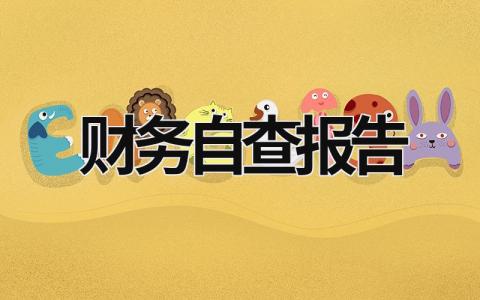 财务自查报告 学校财务自查报告 (21篇）