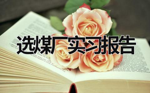 选煤厂实习报告 选煤厂知识 (15篇）