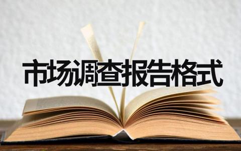 市场调查报告格式 市场调查报告格式字体 (17篇）