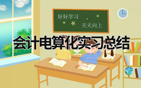 会计电算化实习总结 会计电算化实训总结及体会 (20篇）