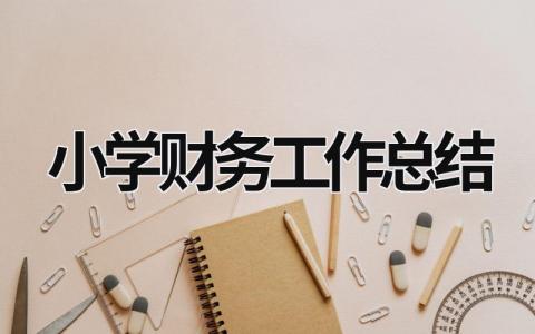 小学财务工作总结 2020小学财务工作总结 (18篇）