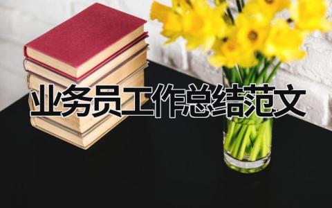 业务员工作总结范文  (17篇）
