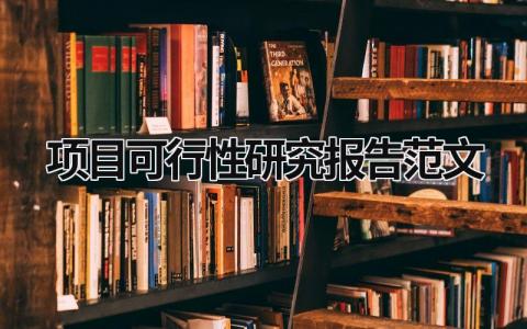 项目可行性研究报告范文 项目可行性研究报告书范文 (19篇）