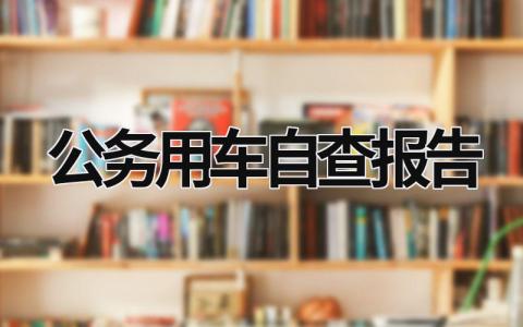 公务用车自查报告 单位公务用车自查报告 (10篇）