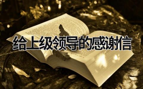 给上级领导的感谢信 写给上级领导的感谢短信 (17篇）