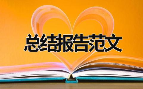 总结报告范文 总结报告范文 (19篇）