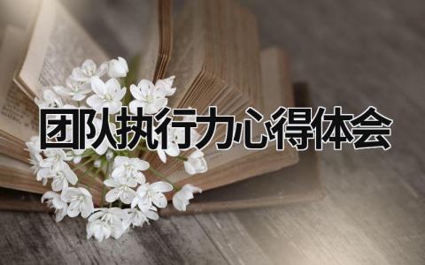 团队执行力心得体会 团队执行力心得体会100字 (18篇）