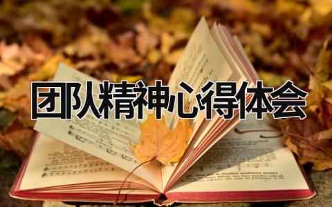 团队精神心得体会 团队精神心得体会总结短句 (17篇）