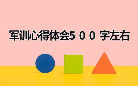 军训心得体会500字左右 病号连军训心得体会500字左右 (21篇）