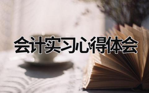 会计实习心得体会 会计实习报告3000字 (21篇）