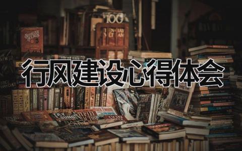 行风建设心得体会 行风建设心得体会300字 (13篇）