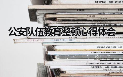 公安队伍教育整顿心得体会 公安队伍教育整顿心得体会总结 (19篇）