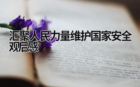 汇聚人民力量维护国家安全观后感 《汇聚人民力量 维护国家安全》专题片 (11篇）