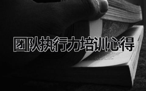 团队执行力培训心得 团队执行力培训内容 (15篇）