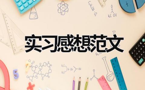 实习感想范文 实习感悟 (17篇）