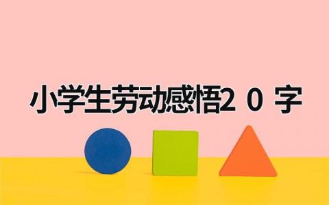 小学生劳动感悟20字  (21篇）