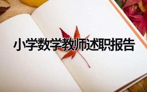 小学数学教师述职报告  (21篇）