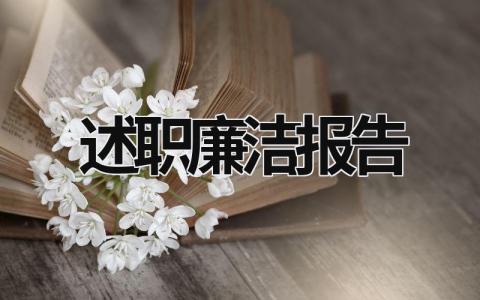 述职廉洁报告 述职报告廉洁情况 (19篇）