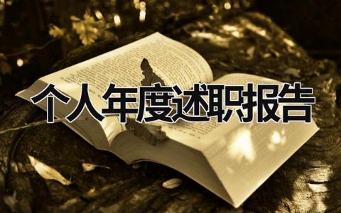 个人年度述职报告 个人年度述职报告总结 (19篇）