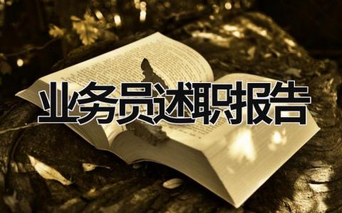 业务员述职报告  (17篇）