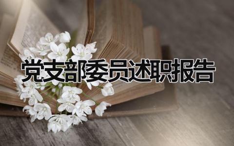 党支部委员述职报告 党支部委员述职报告范文 (17篇）