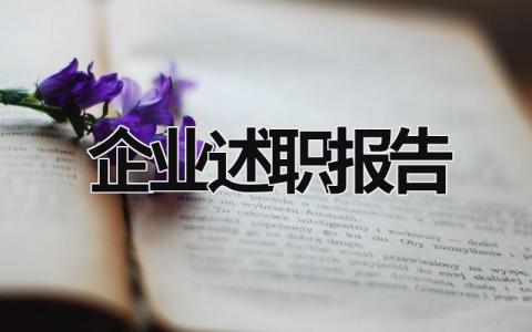 企业述职报告 企业述职报告2023最新完整版 (19篇）