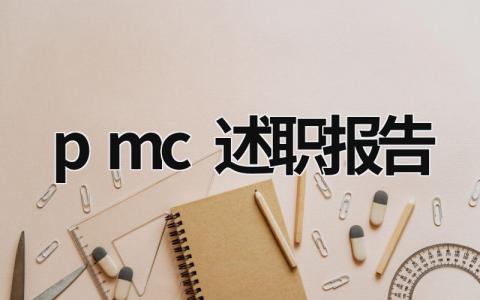 pmc述职报告 pqe述职报告ppt (15篇）