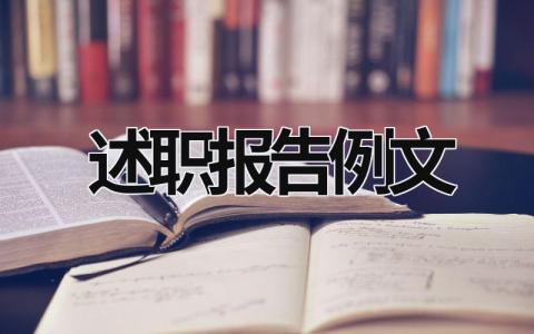 述职报告例文 述职报告书范文 (15篇）