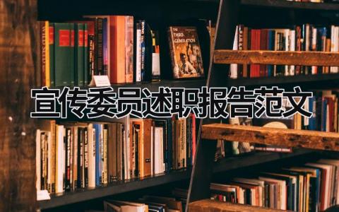 宣传委员述职报告范文 宣传委员述职报告范文模板 (13篇）