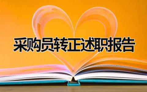 采购员转正述职报告 采购员转正工作总结简单 (16篇）