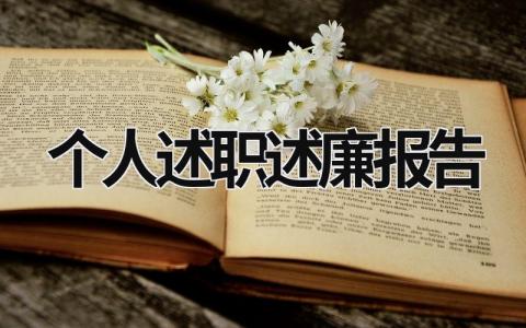 个人述职述廉报告2023 个人述职述廉报告2023最新个人ppt (19篇）