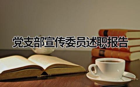 党支部宣传委员述职报告 党支部宣传委员述职报告规范支部基础工作方面 (6篇）