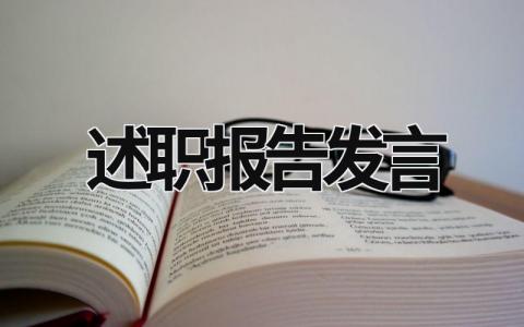 述职报告发言 述职报告发言稿 (17篇）