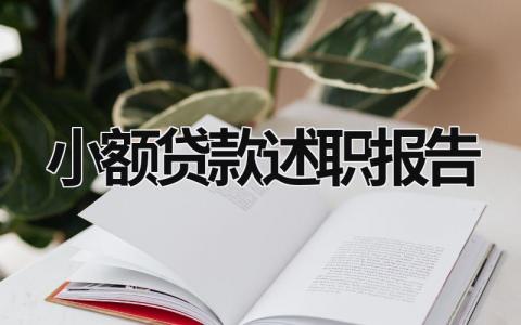 小额贷款述职报告 小额贷款述职报告 (18篇）