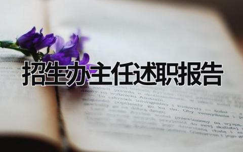 招生办主任述职报告 招生办主任述职报告总结 (16篇）